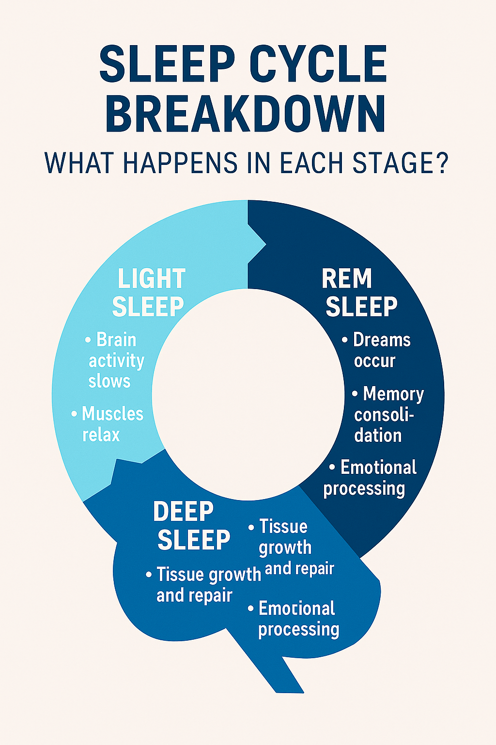 Sleep cycle stage breakdown chart