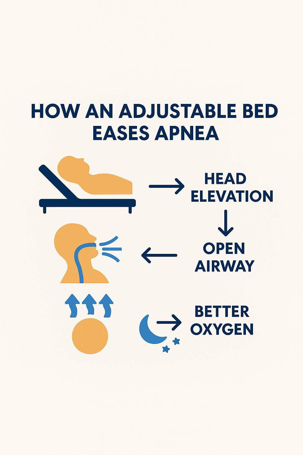 Diagram showing apnea relief with adjustable bed.