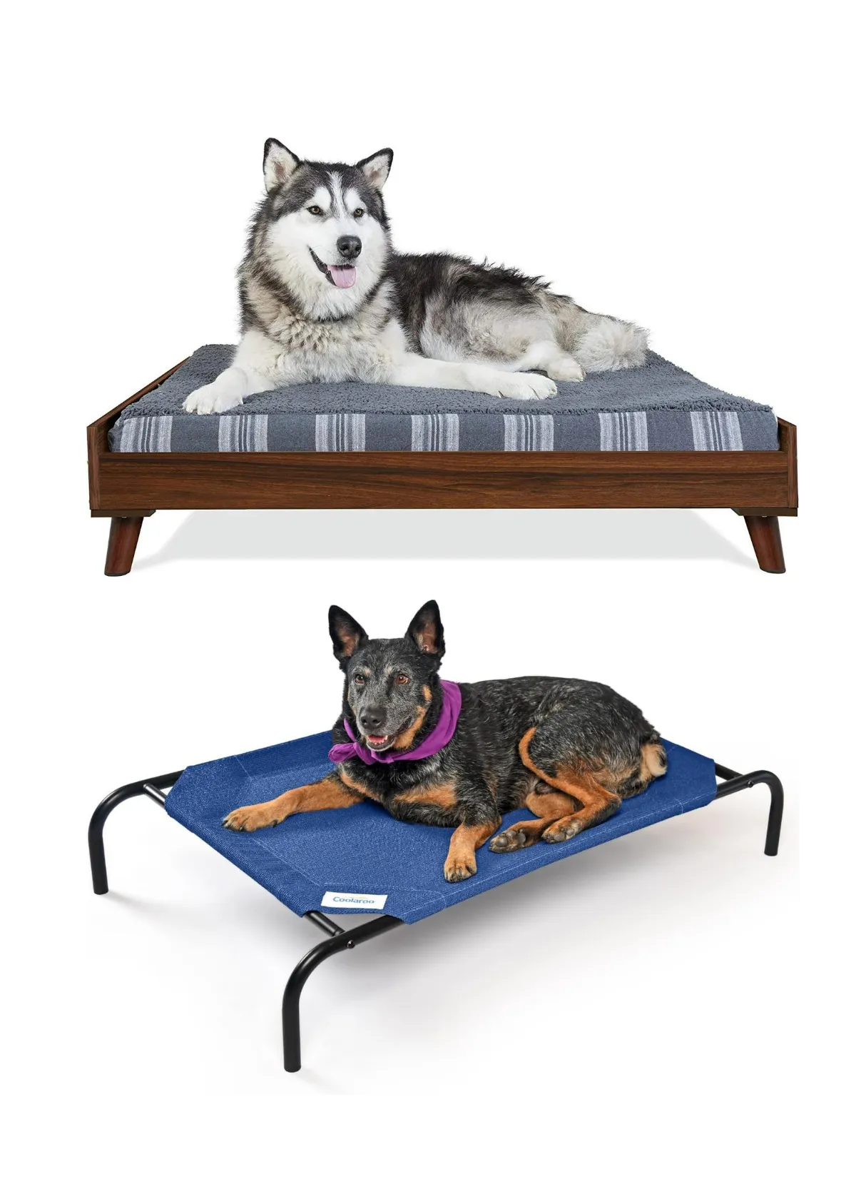 Dog bed frame.